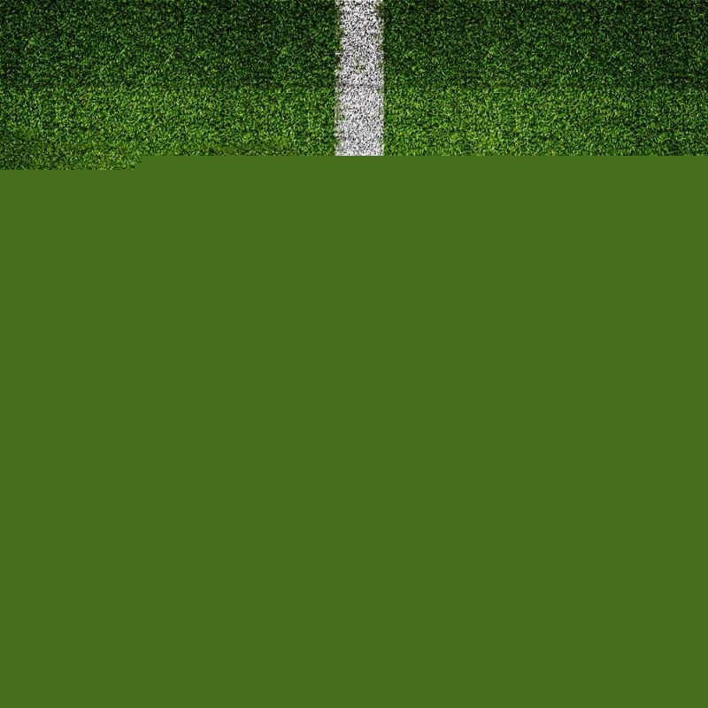 运动员们的 运动员们的