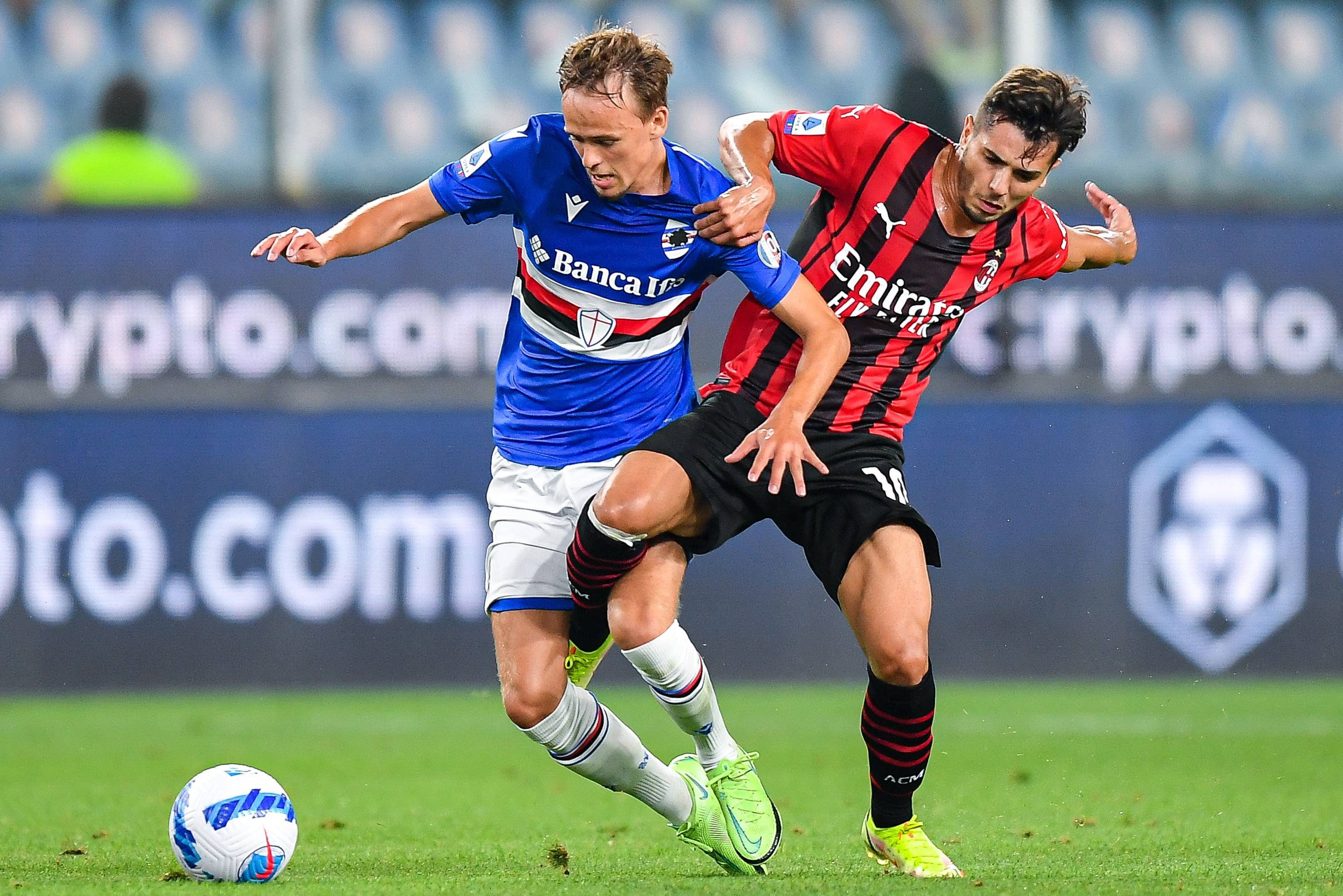 了稳定的得 了稳定的得