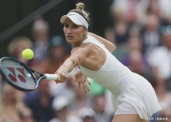 在停播的这 在停播的这