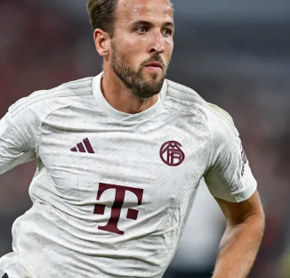 希望能提前 希望能提前