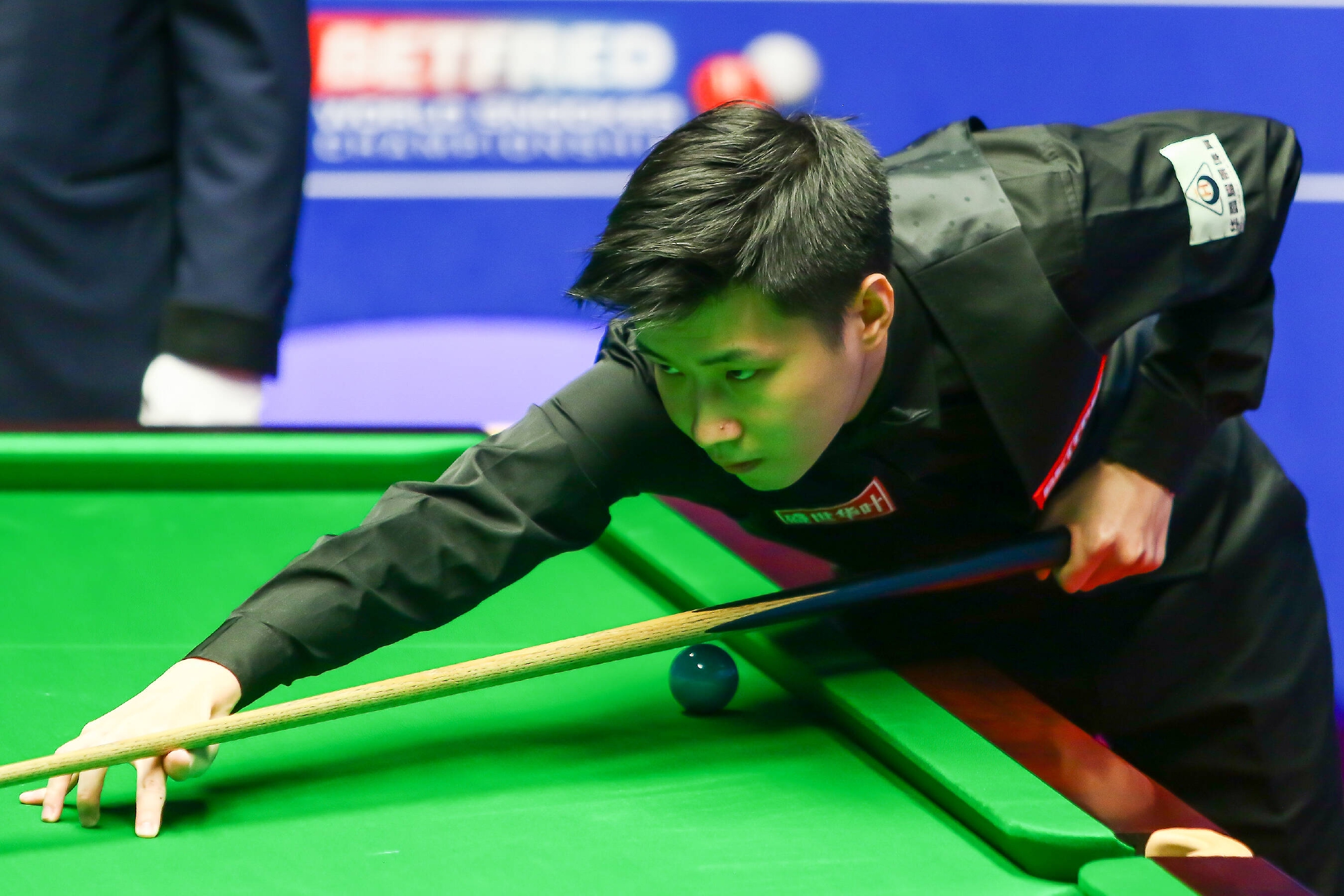 近年来受到 近年来受到