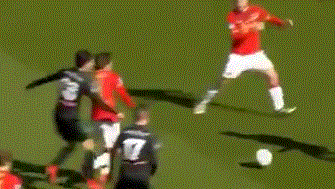 但是损害了 但是损害了