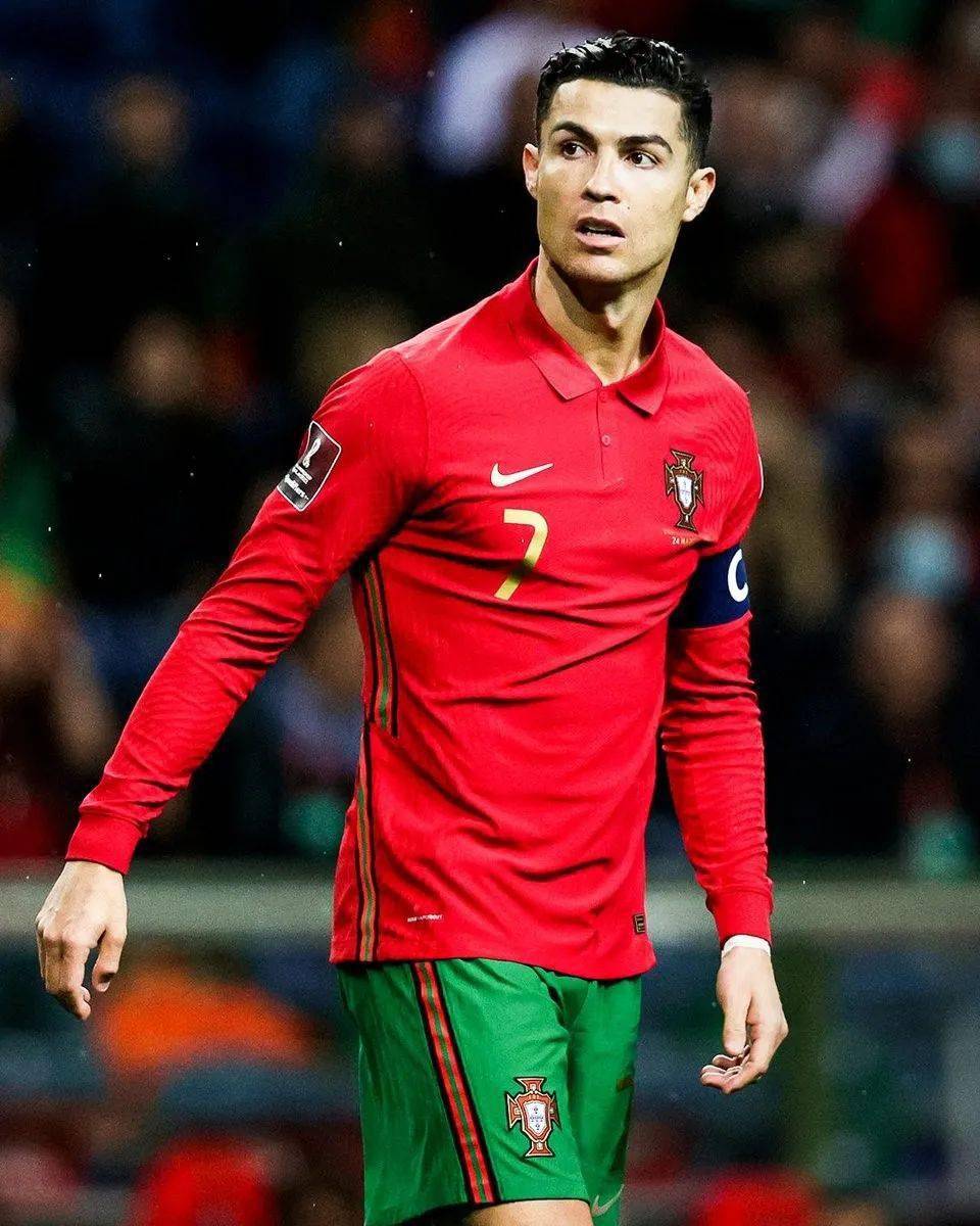 老龄宠物带 老龄宠物带