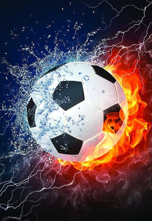 数据的管理 数据的管理