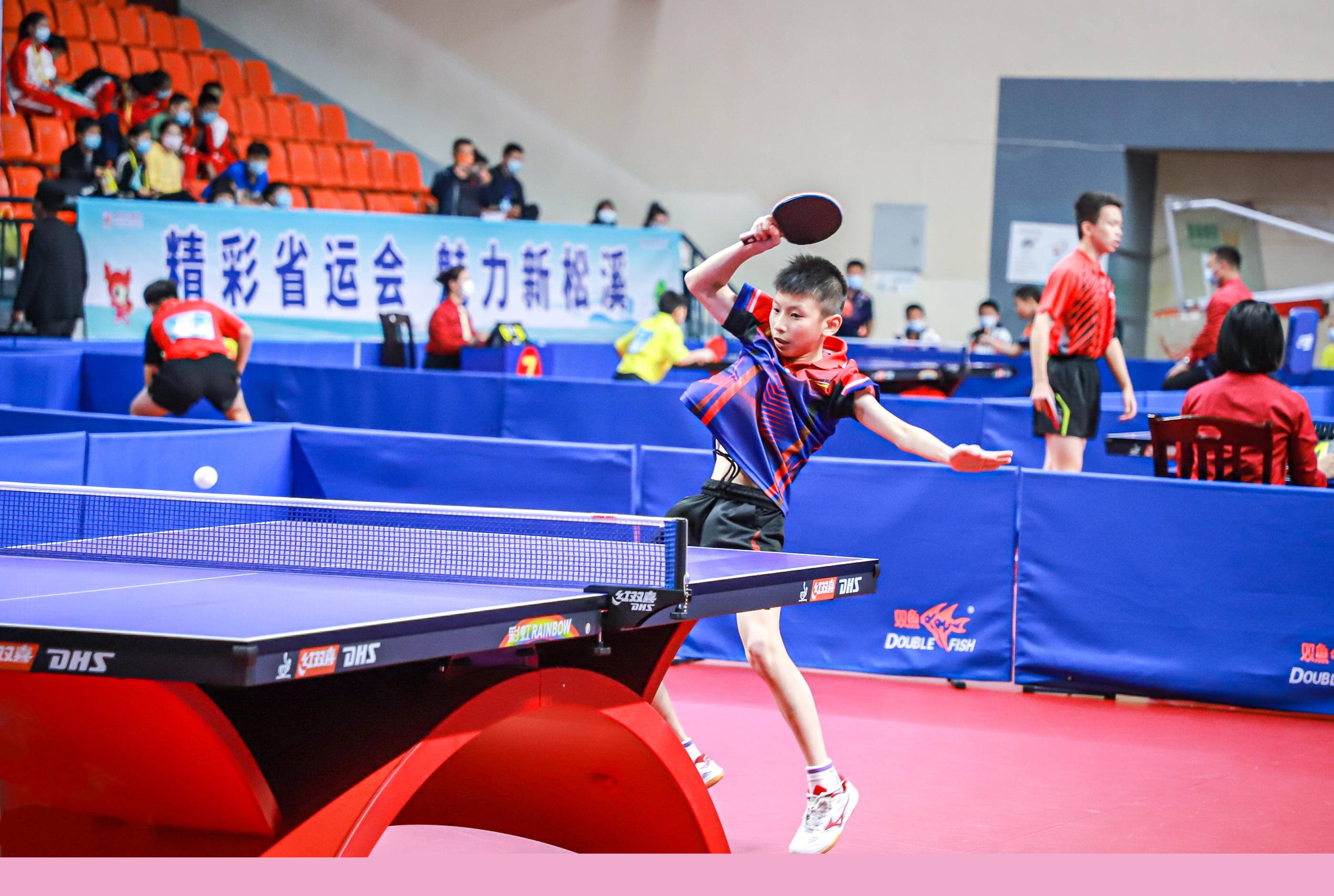 雷拉的关系 雷拉的关系